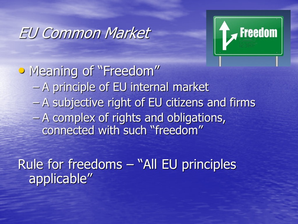 EU Common Market Meaning of “Freedom” A principle of EU internal market A subjective